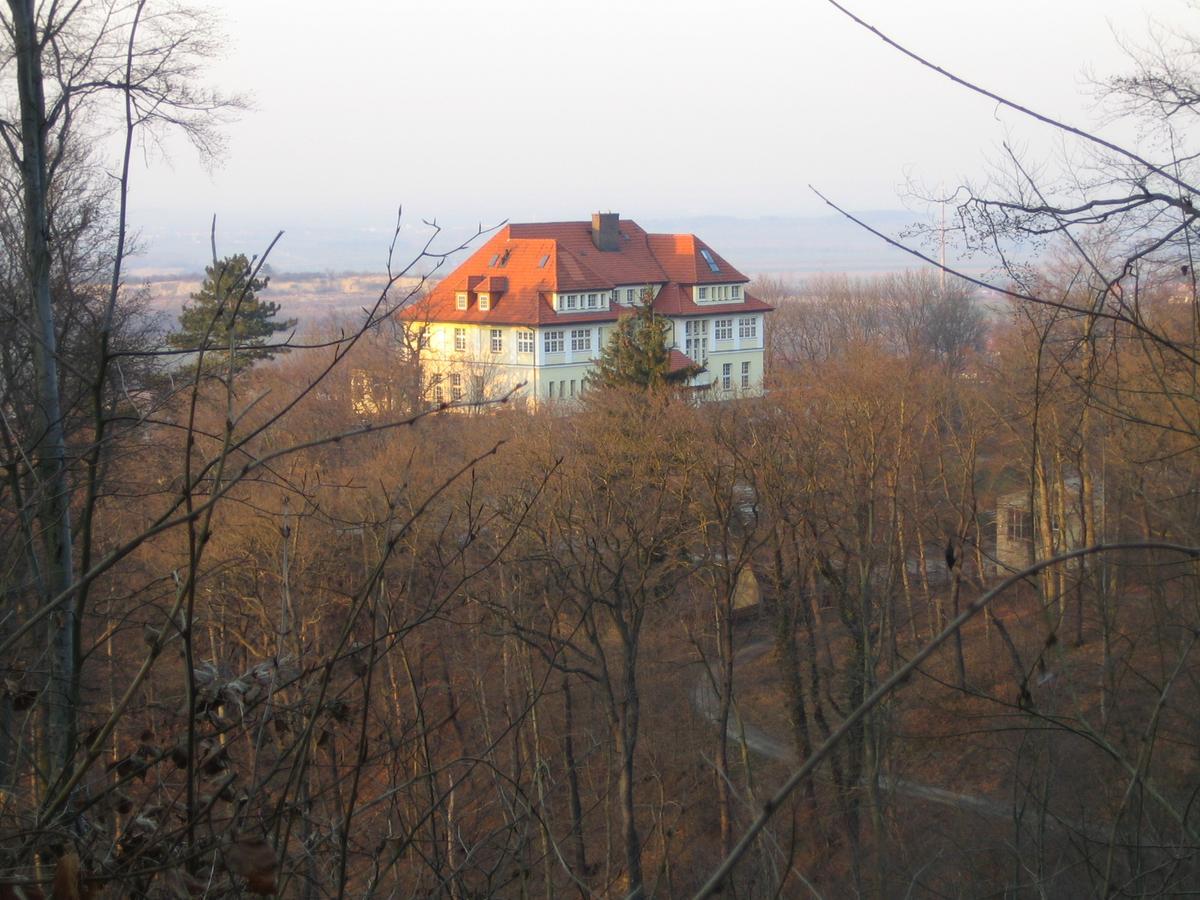 Hotel Stubenberg Gernrode  Eksteriør bilde